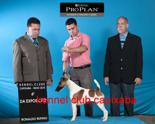 Clique sobre a foto para fechar